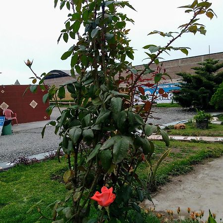 Motel Sahara Suites Barranca Dış mekan fotoğraf