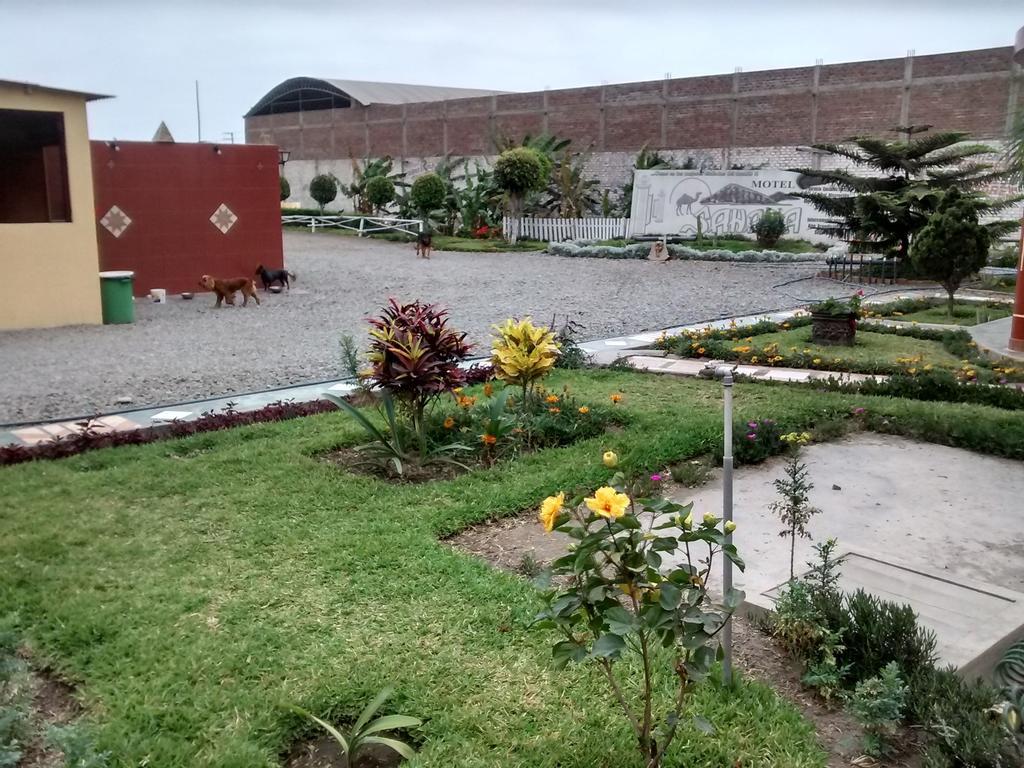 Motel Sahara Suites Barranca Dış mekan fotoğraf